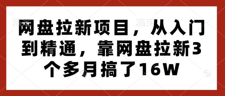 网盘拉新项目，从入门到精通，靠网盘拉新3个多月搞了16W-第一资源站